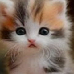 User Profile Img